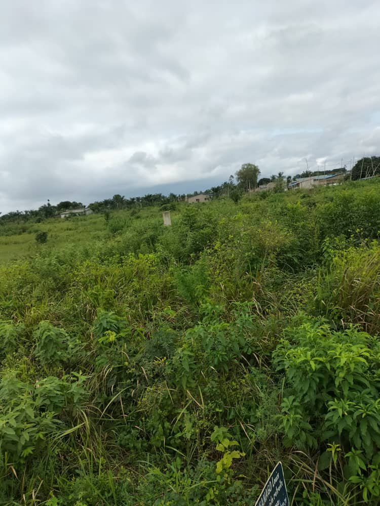 Deux Terrains mitoyens avec titre foncier à Hévié-Alansankomey