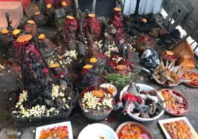 11735058435e8726ab02be36b35693f4