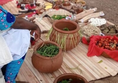 img-20240210-wa0141-585×438-c443c